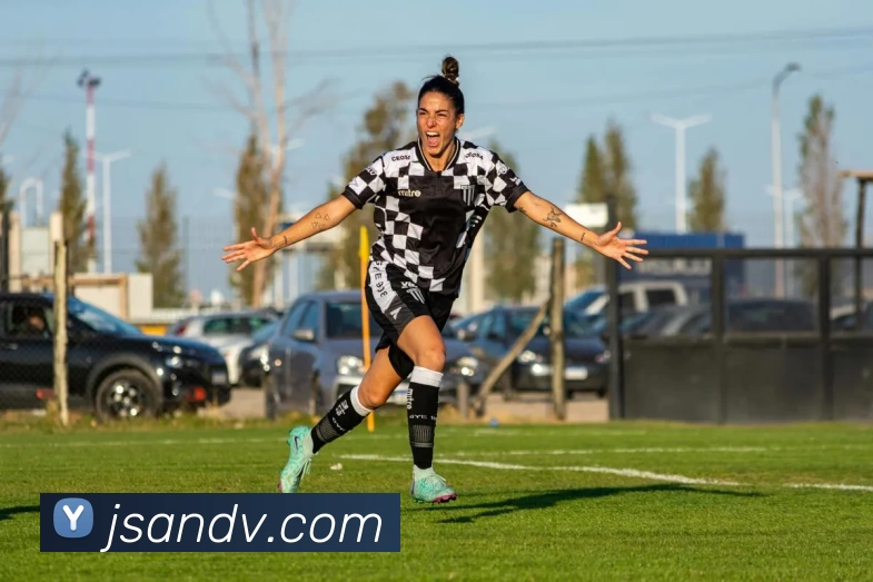 金沙国际娱乐城平台生态图